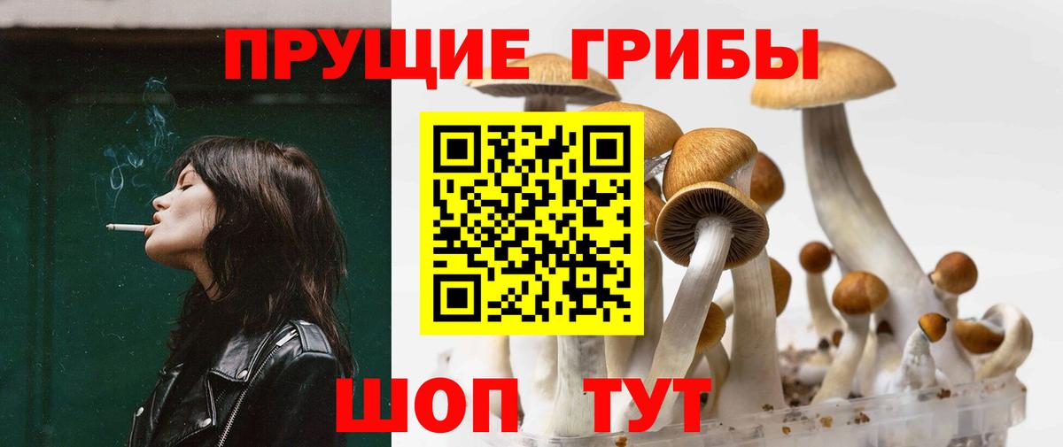 Фурманов  Псилоцибиновые грибы Cubensis  Вход с VPN  Галлюциногенные грибы ЛСД 